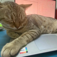 ÷������֮ǧ��Ҫ��è�ϼ���