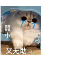 溵tΪȴż