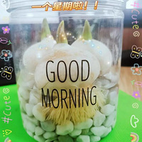 ɹһɹȥ���ڰ칫���ֵ�������