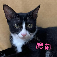 �Ҽ���԰��ţ�����ˡ���