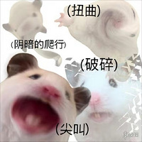 СѧŮһֺµĶ......