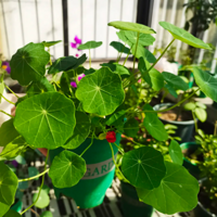 ��һ������������