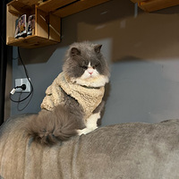 �����ϲ�����׸ߵ�