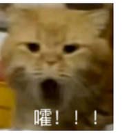 ֮񡱾˵ĵùǶˡ