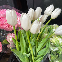 �������������ֱ��ˣ�Ʒ���ֺã�ֵ���룡