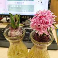 ÿ�����ϰ඼��һ���ӻ���ζ���Ҹ�