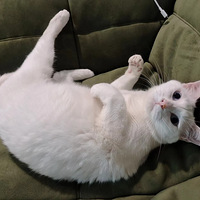 ������ϴ���ǲ�������˰������һǧ������һ��