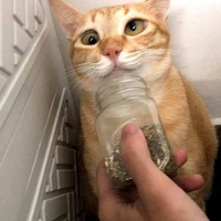 ��è���Ķ����е������