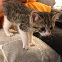 С�껨�����������ˣ����������ճ�