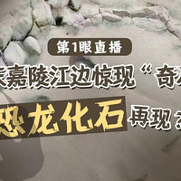 콭ֿʯ1ֱרֳ飡