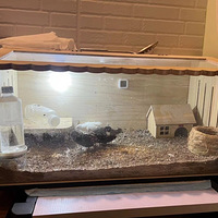 «������������