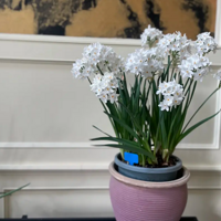 ֽ��-��ˮ�ɣ�����������