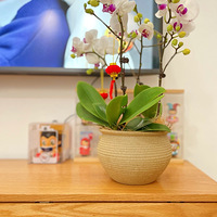 ���ڱع仨�У��������������ǹ㶫�˵Ĵ�����������