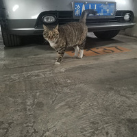 ��һ��Ҫ�����Ҹ���ů�ļ�