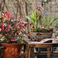 ������40ƽ��С��԰�Ĵ������š�