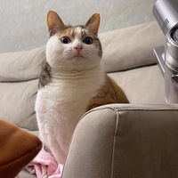 ��Ů����è��������