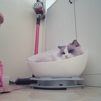 С��ֻ���ճ�