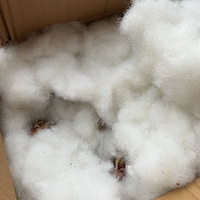 �ֵ���������ļ��������ҵĶ���ֲ�