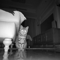 �����е㲻һ��