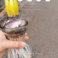 ����Լ��������