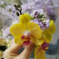 ʻСƷ