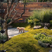 ������и�Ժ����Ҫ��Ҫ�ĳ�����