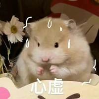 ʵ̽԰׽ǣ˾׷ھ
