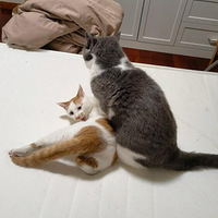 Ϊɶ�Ҽ��ٴ�ܵ�ʱ��ˣ���� ������