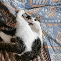 ���ĵ�ɳ�����ʼ�С����