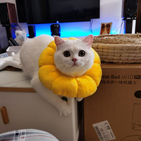 ���Ǽҵ�è����ɰ�