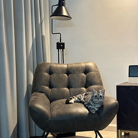 ����������Ѱ����