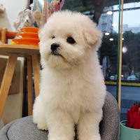 ����ı��ܳɳ�����