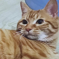 Сè��������������缶�ĲƸ�