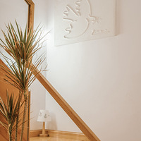 2023��2�¡�����Ʒ�Ƽ�������ԭľ��СԺ����ǧ�����������еļ�