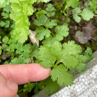 ���õĻ����ֵ�˻��ǿ��ԣ������Ը����㻹�ǹ���