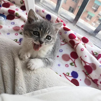 ����ĺ�Ư���ÿɰ�