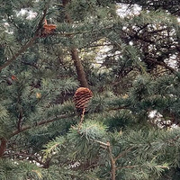 ���˻Ὺ��������õ�壡