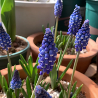 ���ѷ���������������