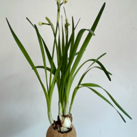 ����Ҭ�ӿ��ֵ�ˮ�ɿ��ˣ�