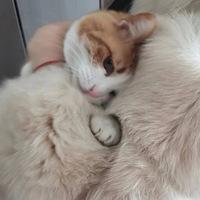 ���������ů�͵ĵط�˯��