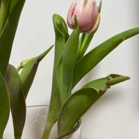 ��ô�ҵ������������ӵİ�