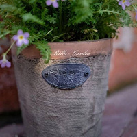 ����̫�໨������