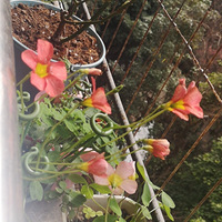 �����ݿ�����