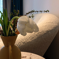 ���ʳ�¯�ı�ҵ����һ��