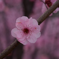 ΩԸղ٣ʱгȰӰ