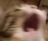 һ˵ľ״̬be like