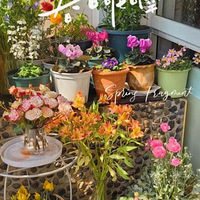 ������ҵ���̨�������̫���˰�