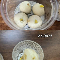 2������׼ʱ�����������㣡