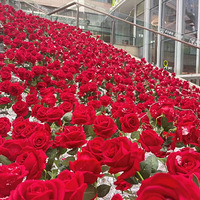 HappydayܿʱһЩ֤ݡ....