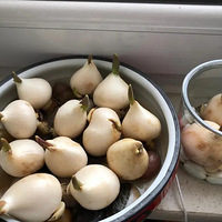 ˮ�������� ���ü��ĳɳ� ��������